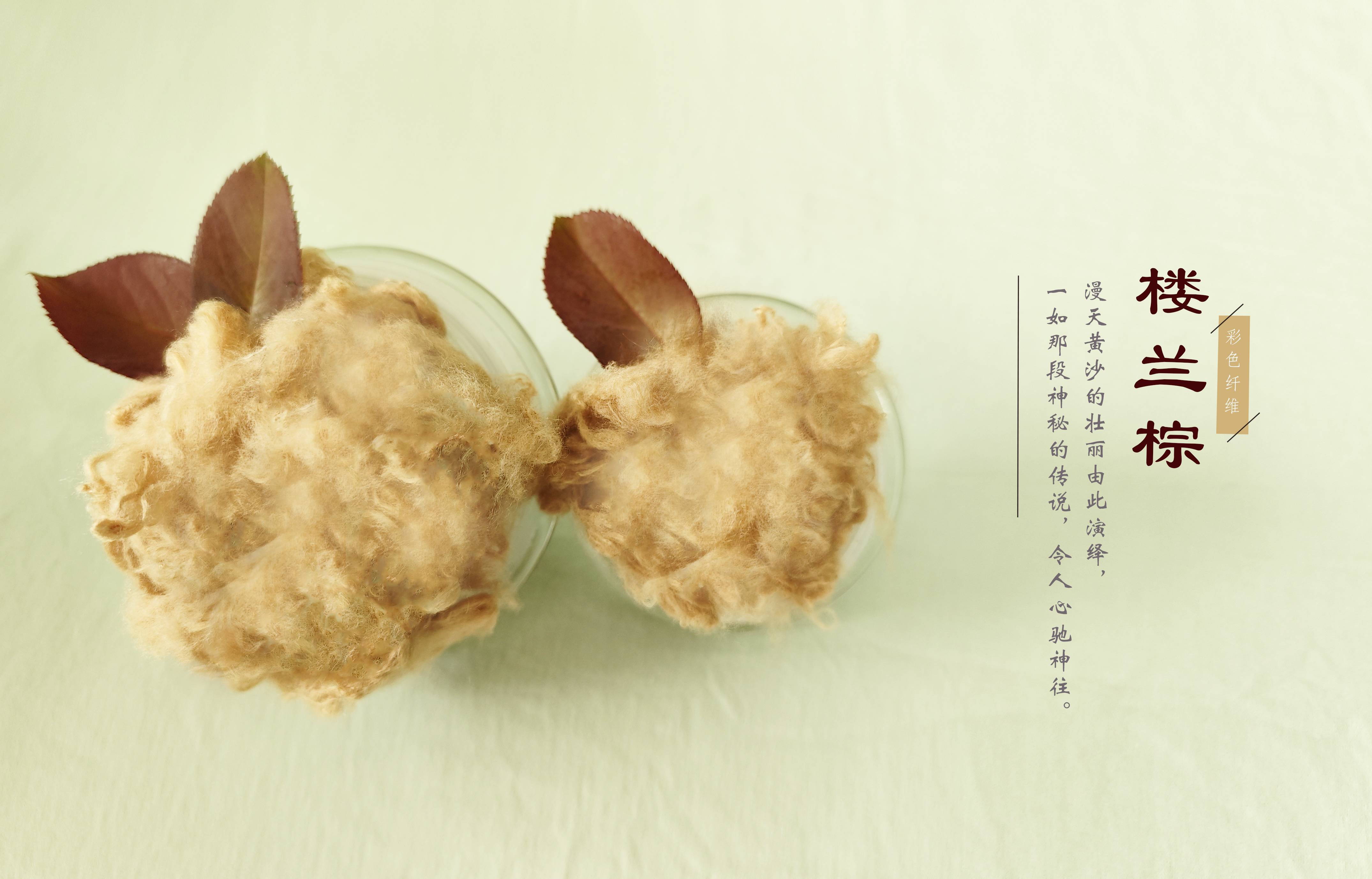 巅峰国际官网-不凡成就非凡,相信品牌力量