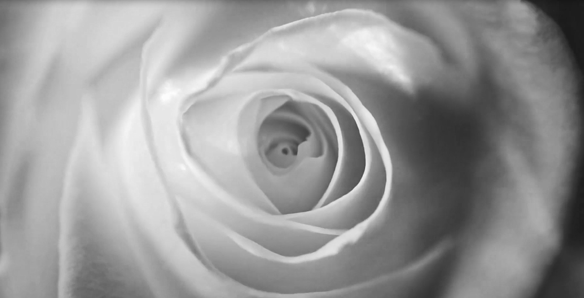 巅峰国际官网-不凡成就非凡,相信品牌力量