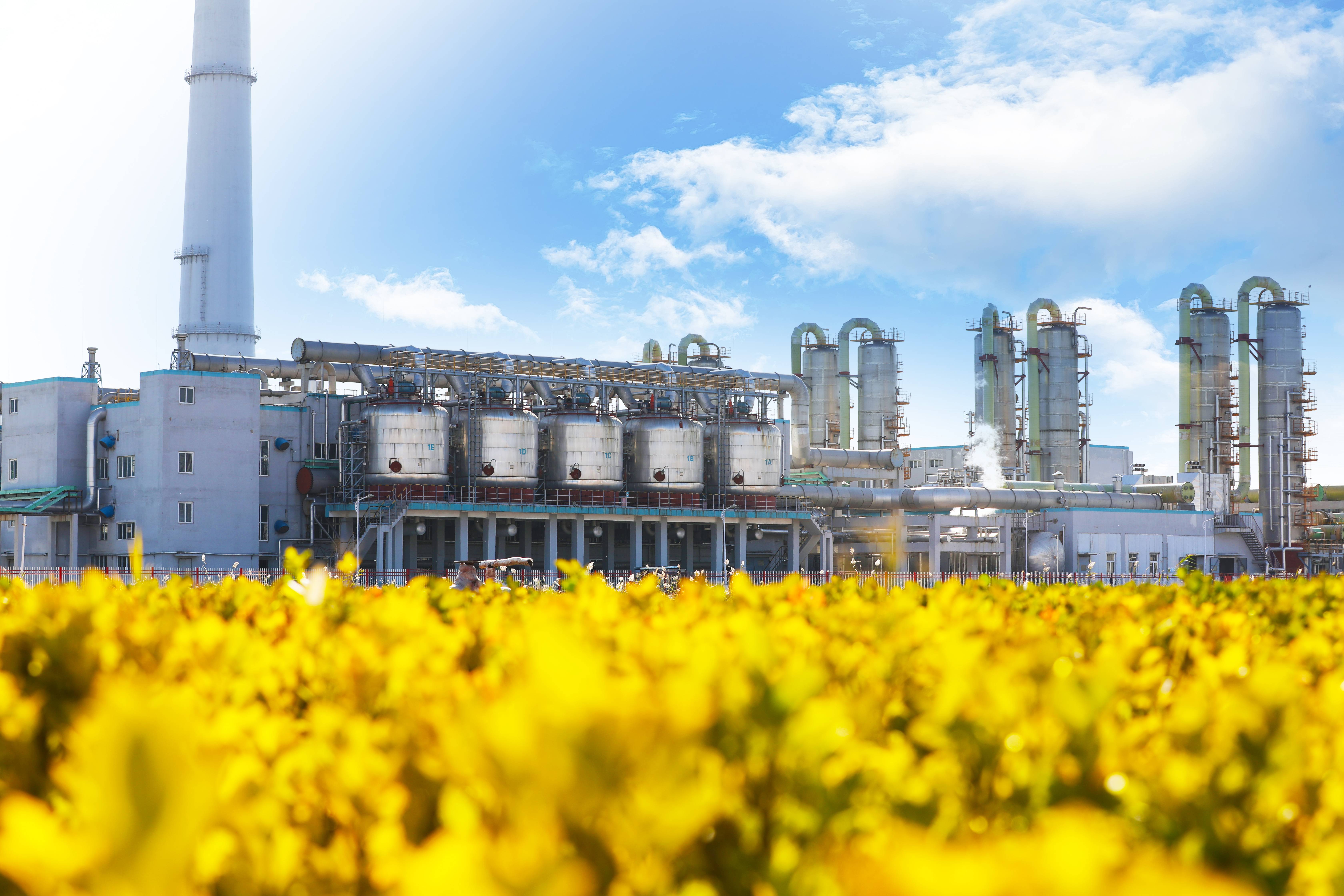 巅峰国际官网-不凡成就非凡,相信品牌力量